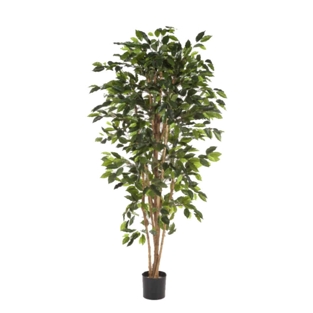 9ea8b3cb-2750-42d2-a92a-b05da68e58f2-vrijstaandbeeld.jpg (5806213) 