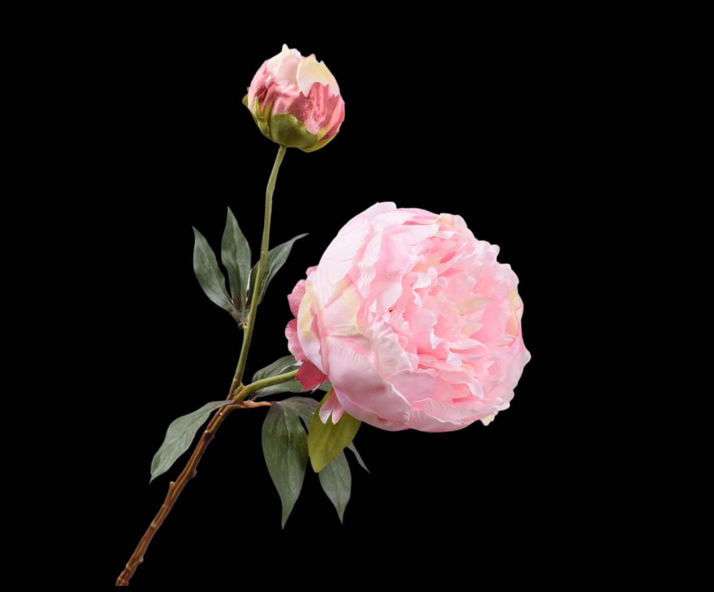 d8ba8d37-0bff-478f-9319-3c1541ba757a-vrijstaandbeeld.jpg (5806308) 