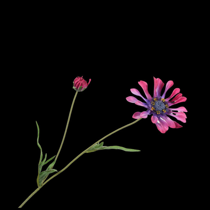 e219b3a4-899a-47b3-b869-5341be3afa25-vrijstaandbeeld.jpg (5806340) 