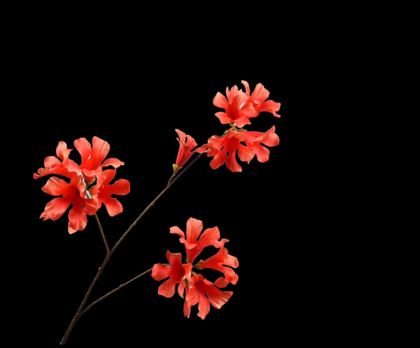 5d516073-267c-42c1-8a52-b5d74f8ea938-vrijstaandbeeld.jpg (5806581) 