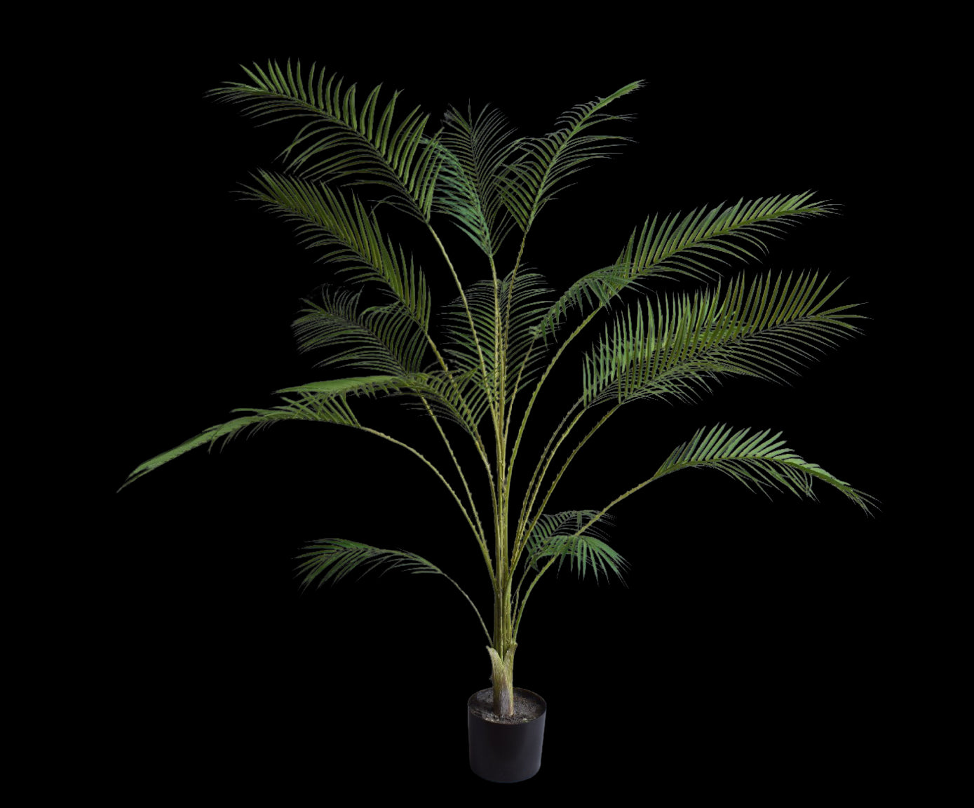 5359e345-38db-4bc4-9dad-71f59b43056c-vrijstaandbeeld.jpg (5807051) 