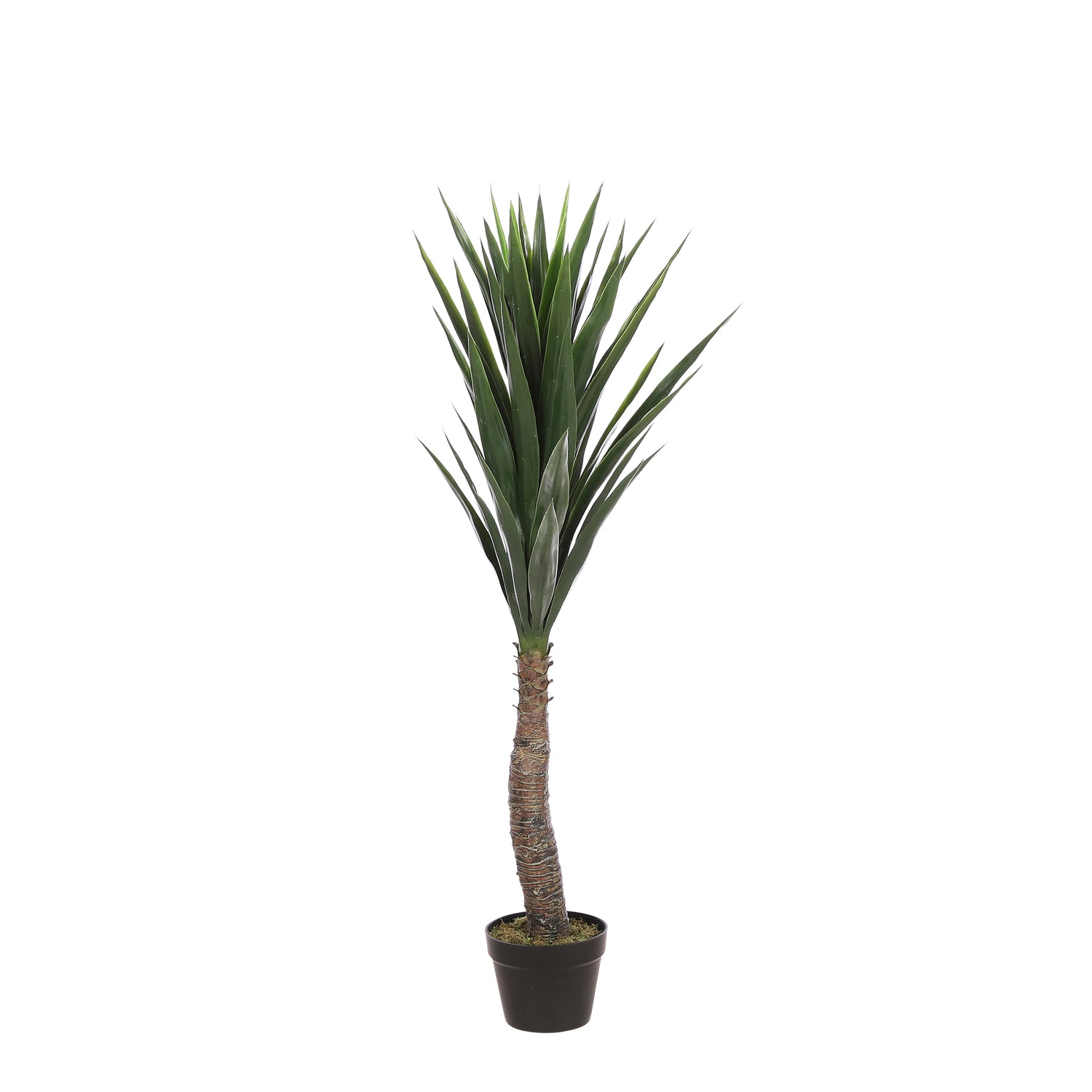 8ac43c9a-6b21-42ad-ab2f-6876847709c6-vrijstaandbeeld.jpg (5807060) 