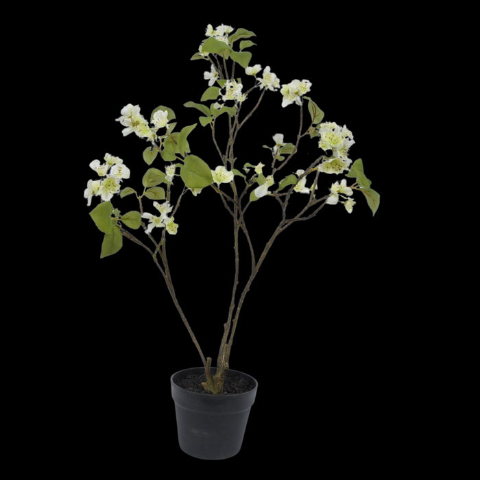 85a48c81-7601-4121-aa29-759319600978-vrijstaandbeeld.jpg (5808287) 