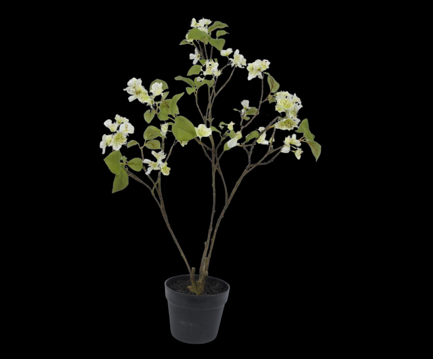 85a48c81-7601-4121-aa29-759319600978-vrijstaandbeeld.jpg (5808287) 