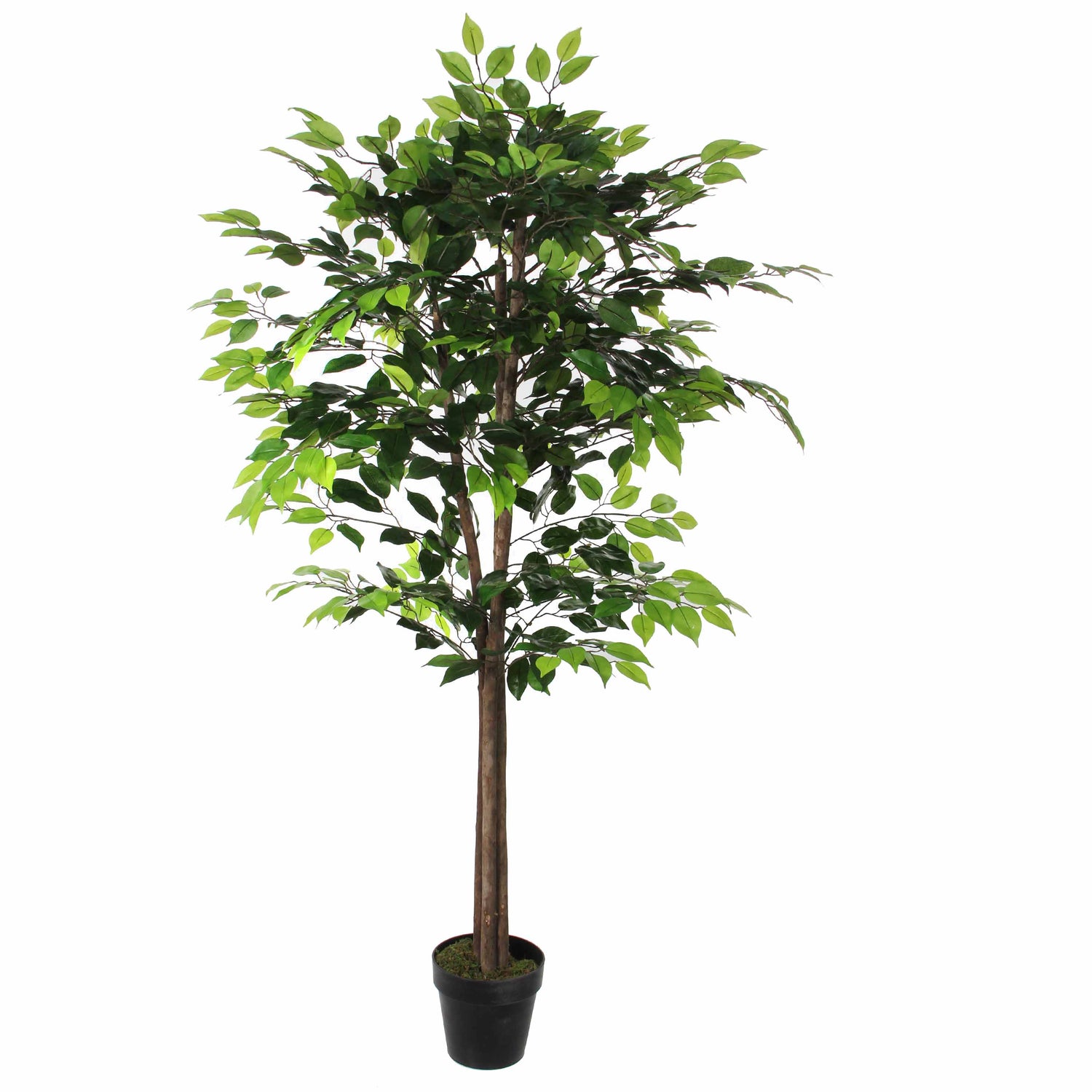 d97c9a81-02dc-4e2d-8d59-4534127427f2-vrijstaandbeeld.jpg (5808896) 