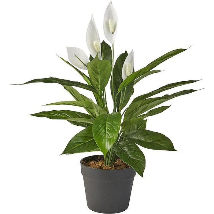 63dc2f96-7f37-4870-96c1-8f94463434b5-vrijstaandbeeld.jpg (5809490) 