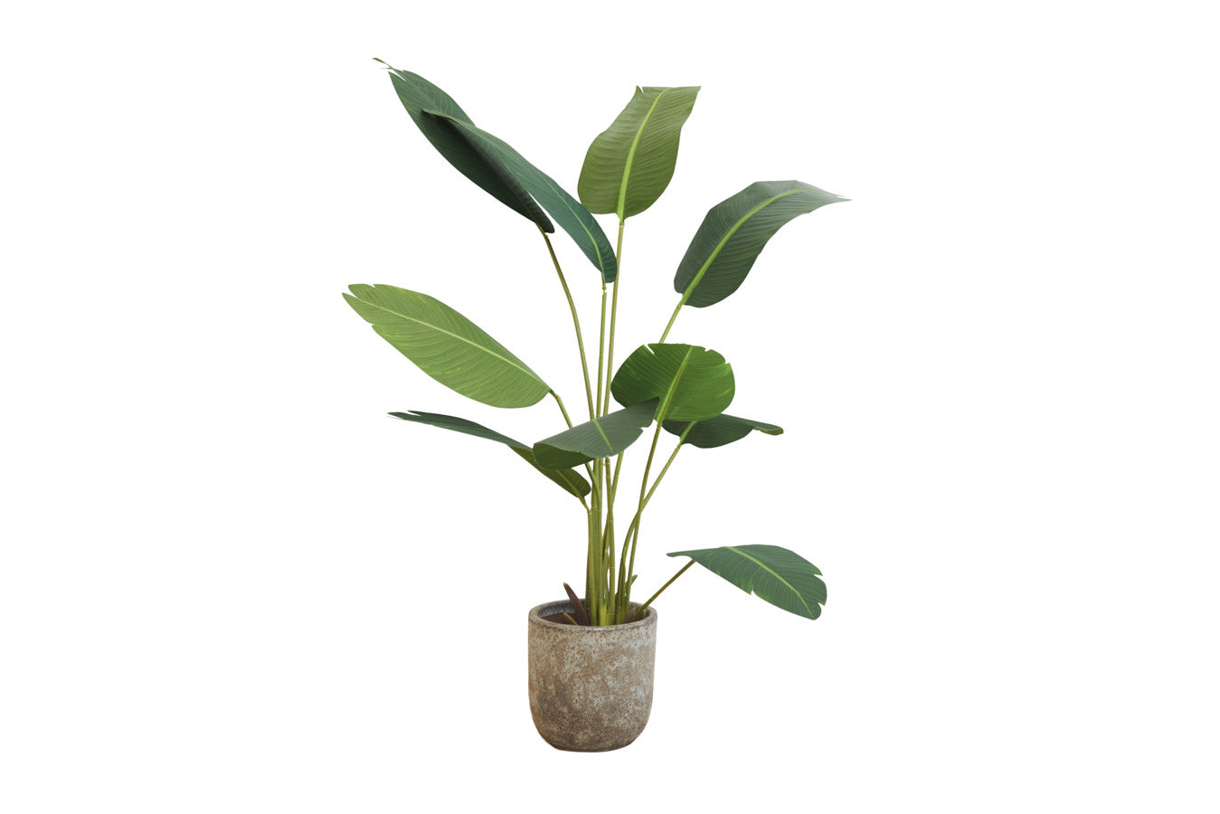 256328ad-4c59-468c-8f51-af401f6a2fcd-vrijstaandbeeld.jpg (5809938) 