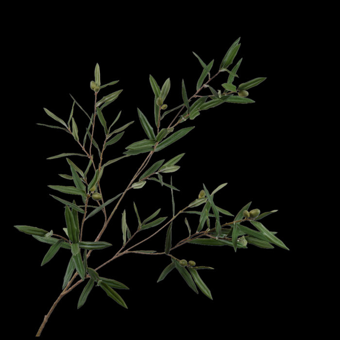 9c067105-10f6-484b-b775-da3e3053b18a-vrijstaandbeeld.jpg (5810111) 