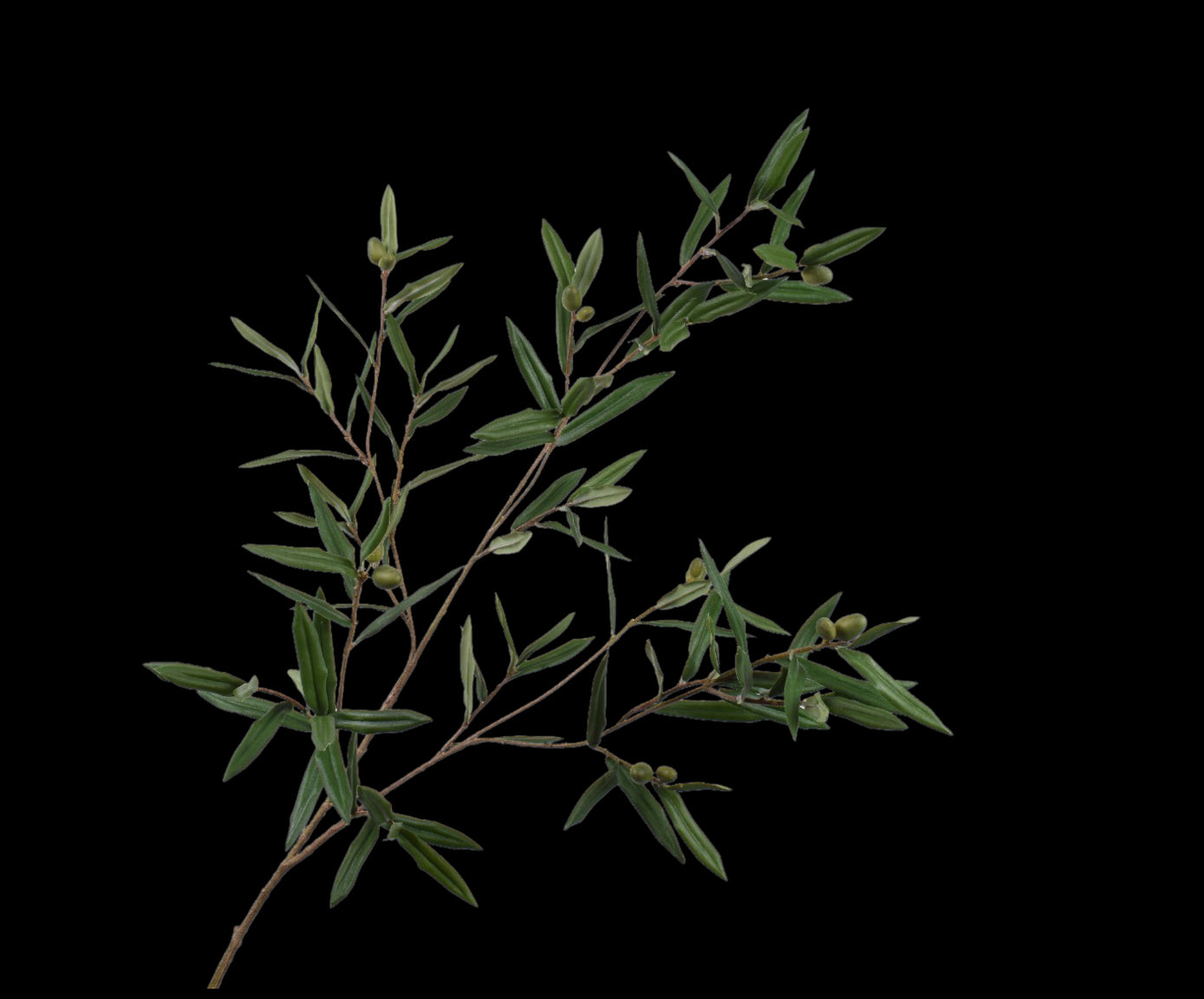 9c067105-10f6-484b-b775-da3e3053b18a-vrijstaandbeeld.jpg (5810111) 