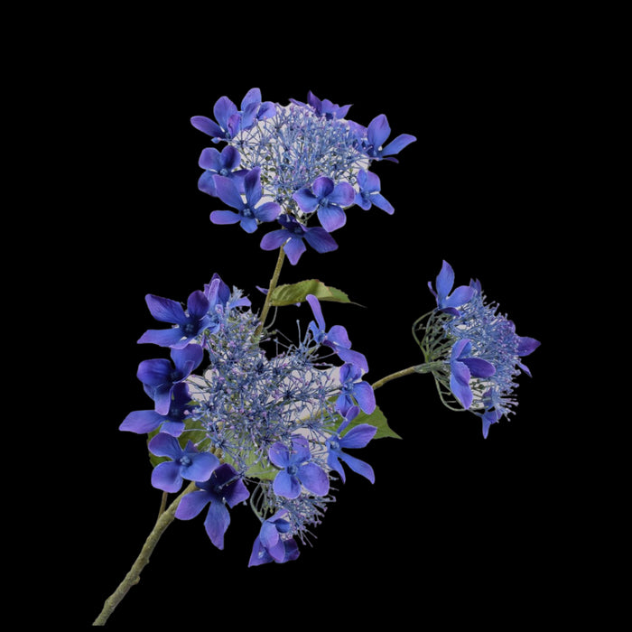 a039b6c7-4569-45ae-bc54-50ba3a4794f7-vrijstaandbeeld.jpg (5813405) 