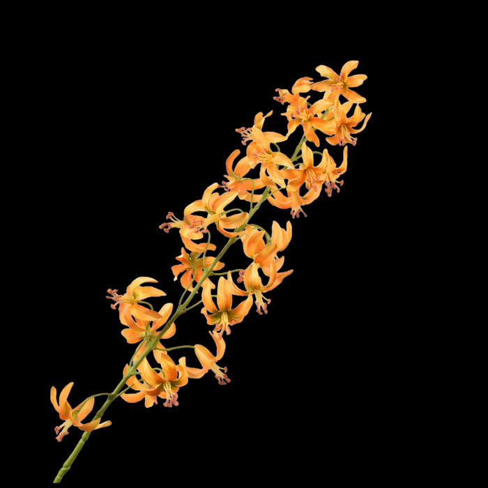 fd5ea9e8-4f75-46aa-9ce8-2caeae362fb6-vrijstaandbeeld.jpg (5813556) 