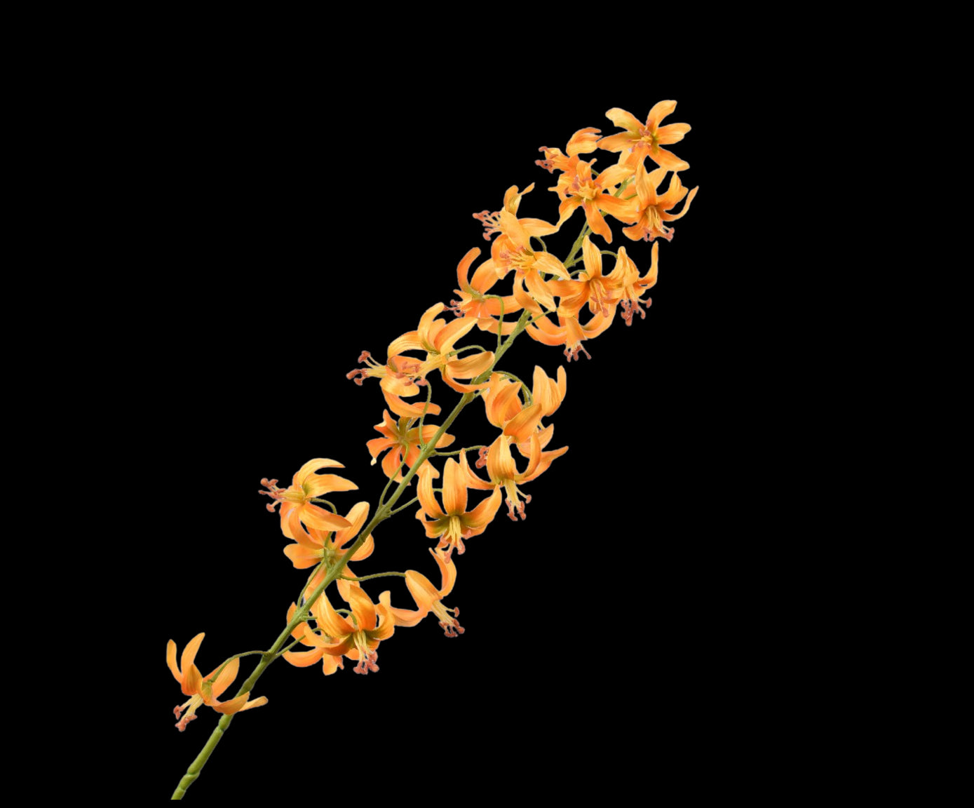 fd5ea9e8-4f75-46aa-9ce8-2caeae362fb6-vrijstaandbeeld.jpg (5813556) 