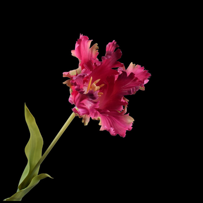 60943c7f-fd00-4ddf-9797-f591e6798a43-vrijstaandbeeld.jpg (5813818) 