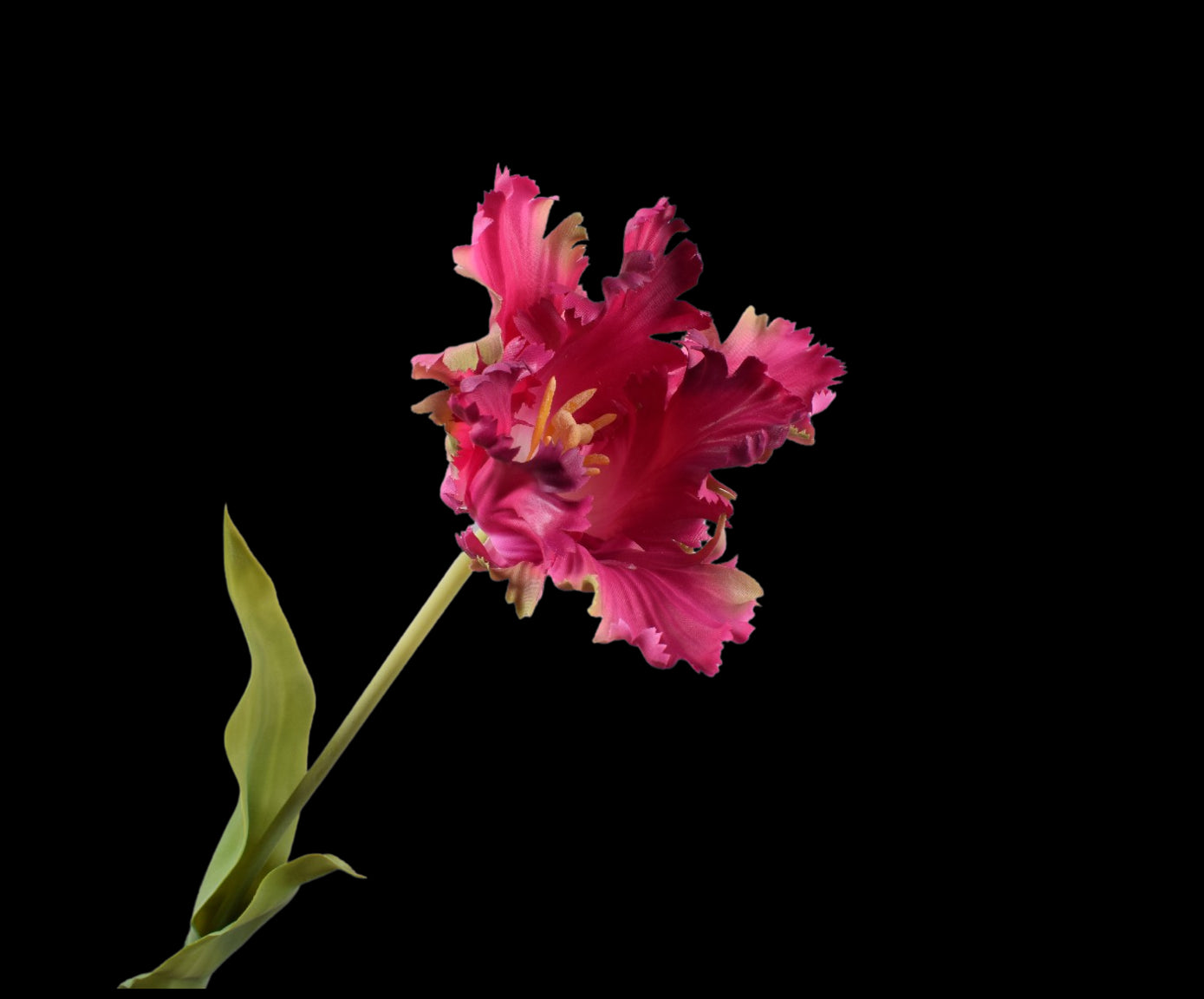 60943c7f-fd00-4ddf-9797-f591e6798a43-vrijstaandbeeld.jpg (5813818) 