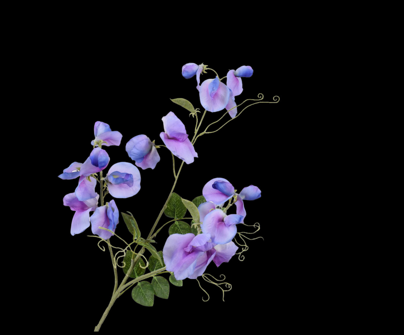 708645bc-94d4-4b4d-8c57-65a424130311-vrijstaandbeeld.jpg (5813906) 