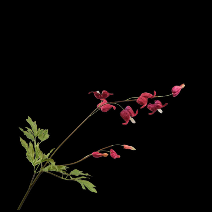 881043c2-e1be-4f5f-8981-e78c04643bf3-vrijstaandbeeld.jpg (5813972) 