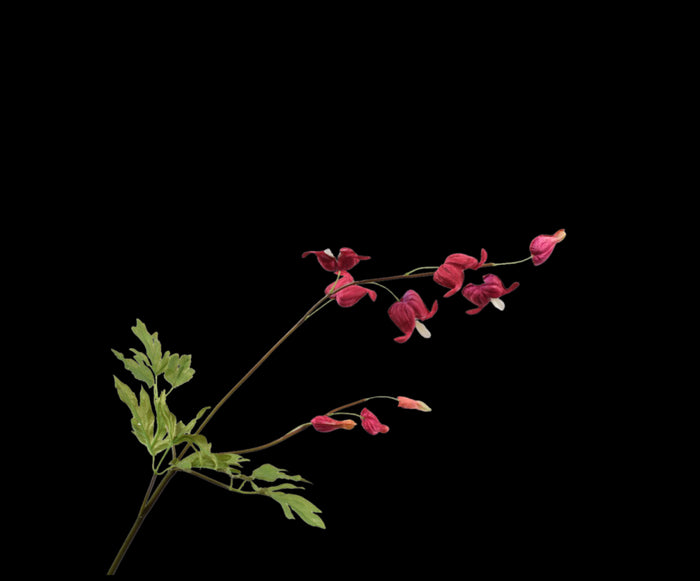 881043c2-e1be-4f5f-8981-e78c04643bf3-vrijstaandbeeld.jpg (5813972) 