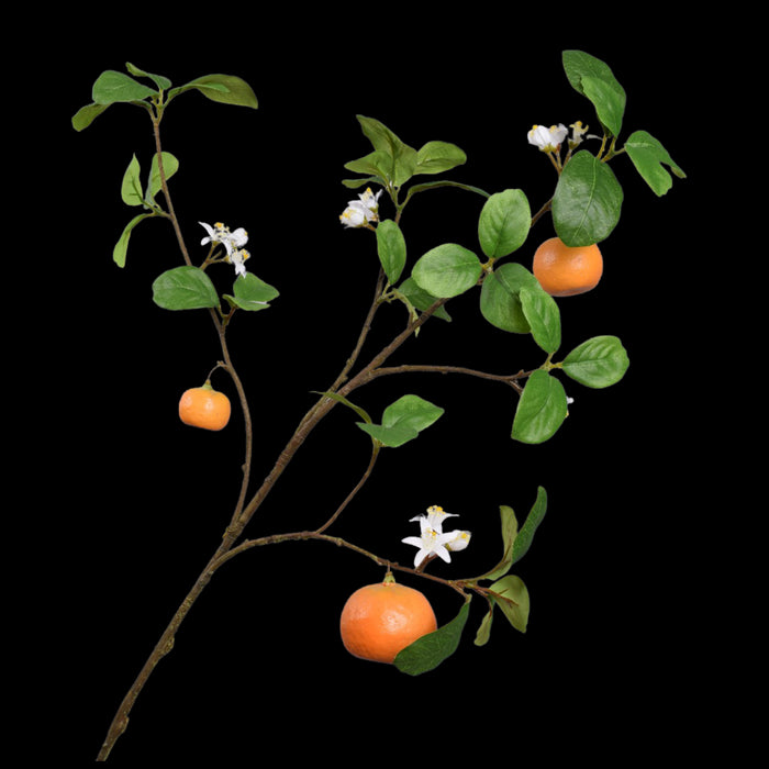 c6ab63c8-4384-4afb-b187-897db4e6d6fb-vrijstaandbeeld.jpg (5814018) 