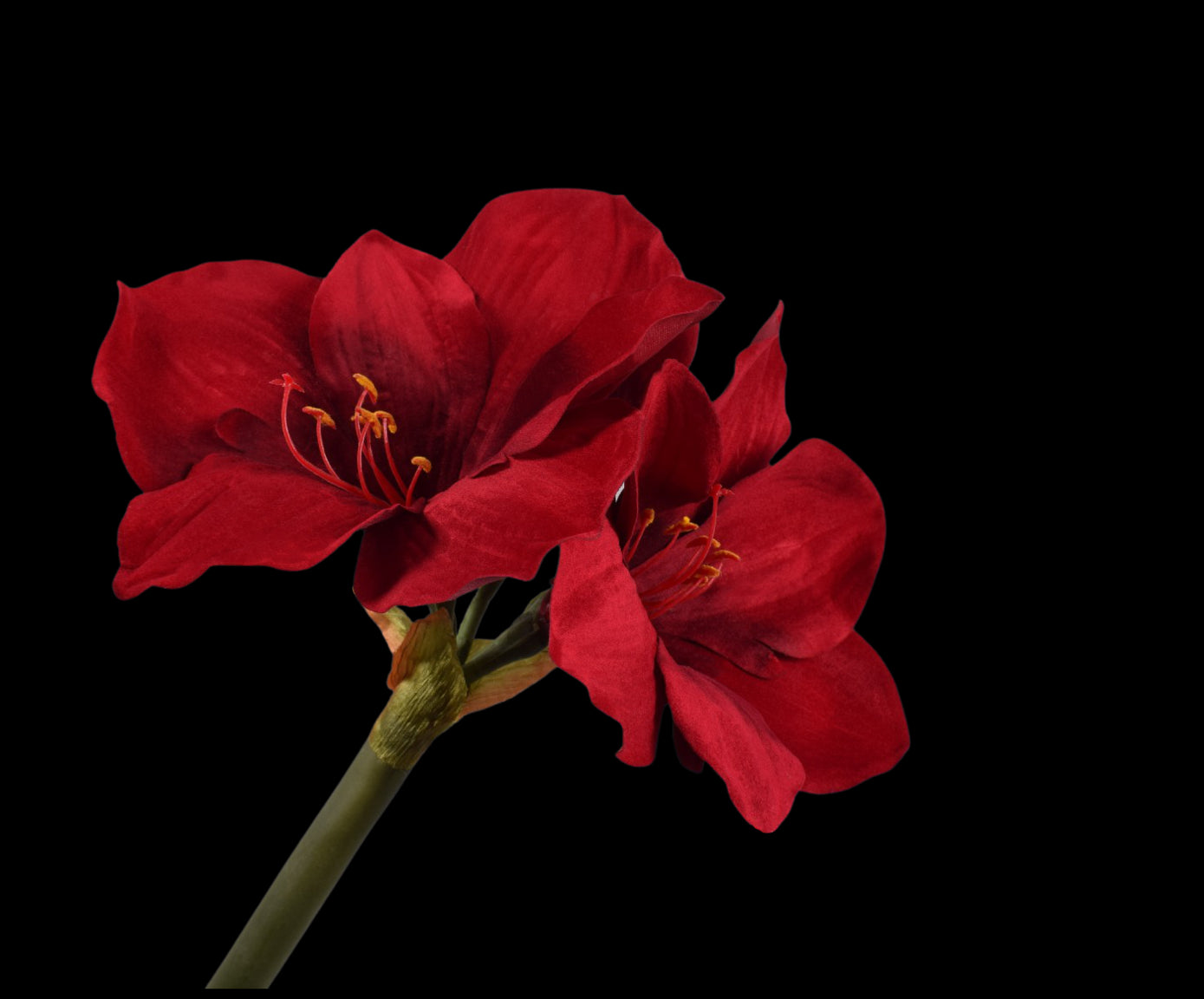 9afe7f50-e327-4bb3-aa98-dbd41174a501-vrijstaandbeeld.jpg (5814038) 