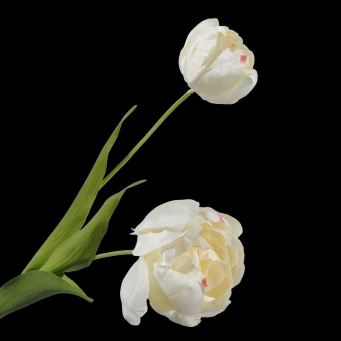 9e19ec52-9fbc-471b-903f-b083fb650b6f-vrijstaandbeeld.jpg (5814156) 