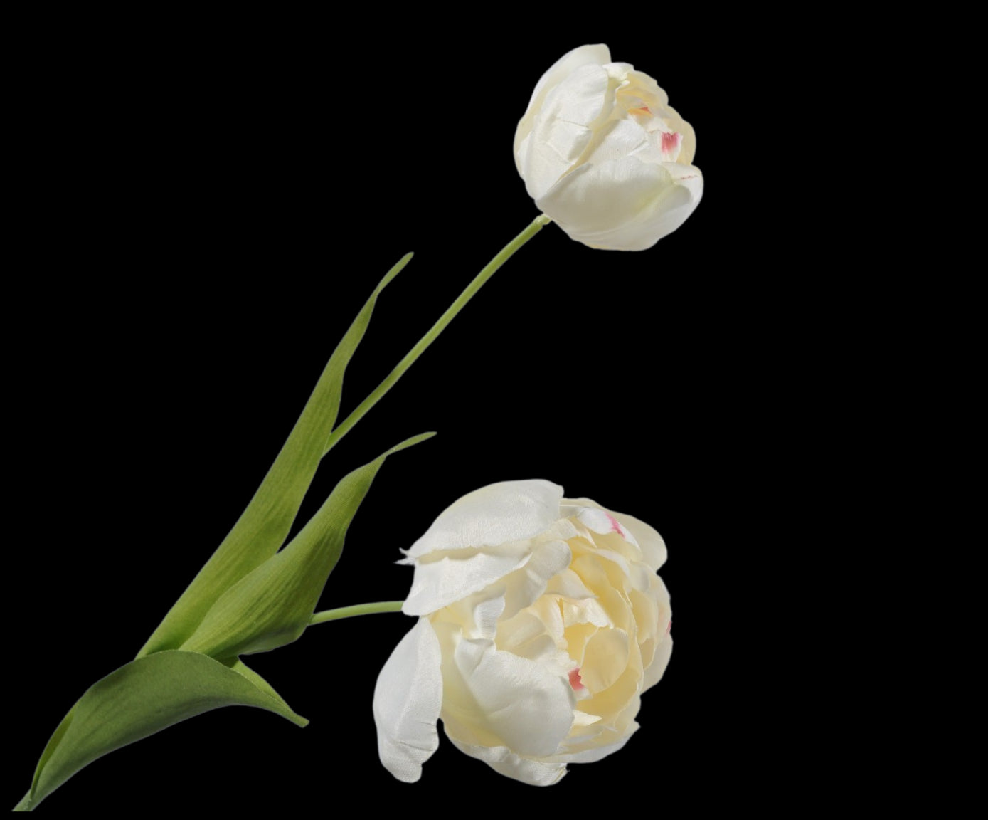 9e19ec52-9fbc-471b-903f-b083fb650b6f-vrijstaandbeeld.jpg (5814156) 