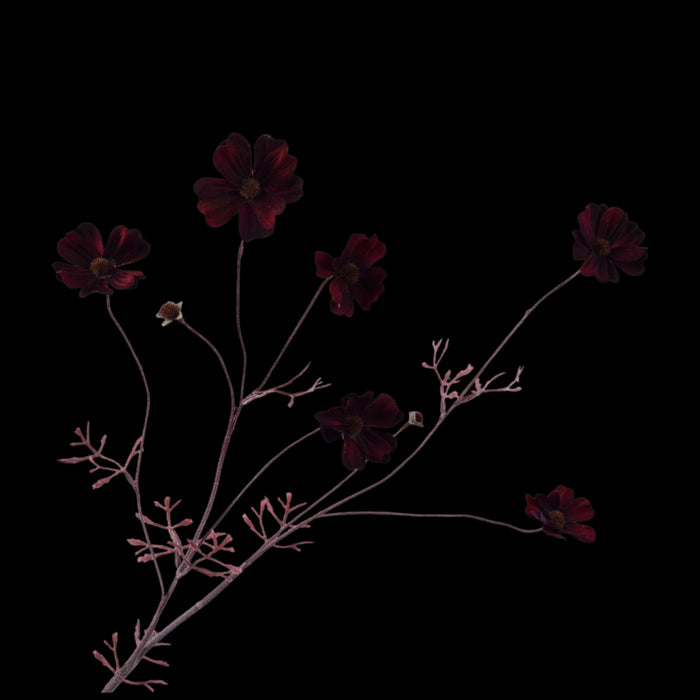 d459e826-4d0d-4232-a592-5ac2db611eb7-vrijstaandbeeld.jpg (5814160) 