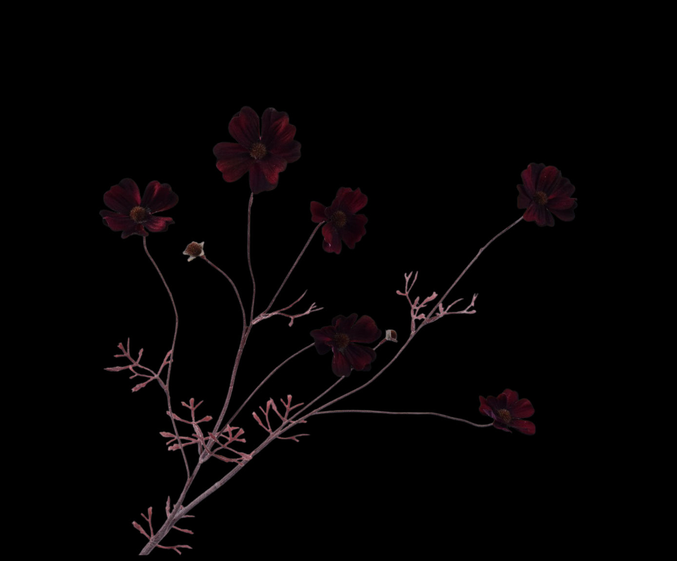 d459e826-4d0d-4232-a592-5ac2db611eb7-vrijstaandbeeld.jpg (5814160) 