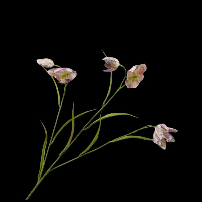 2e75673a-6e77-4134-a1f8-0062f2ffcd71-vrijstaandbeeld.jpg (5814467) 