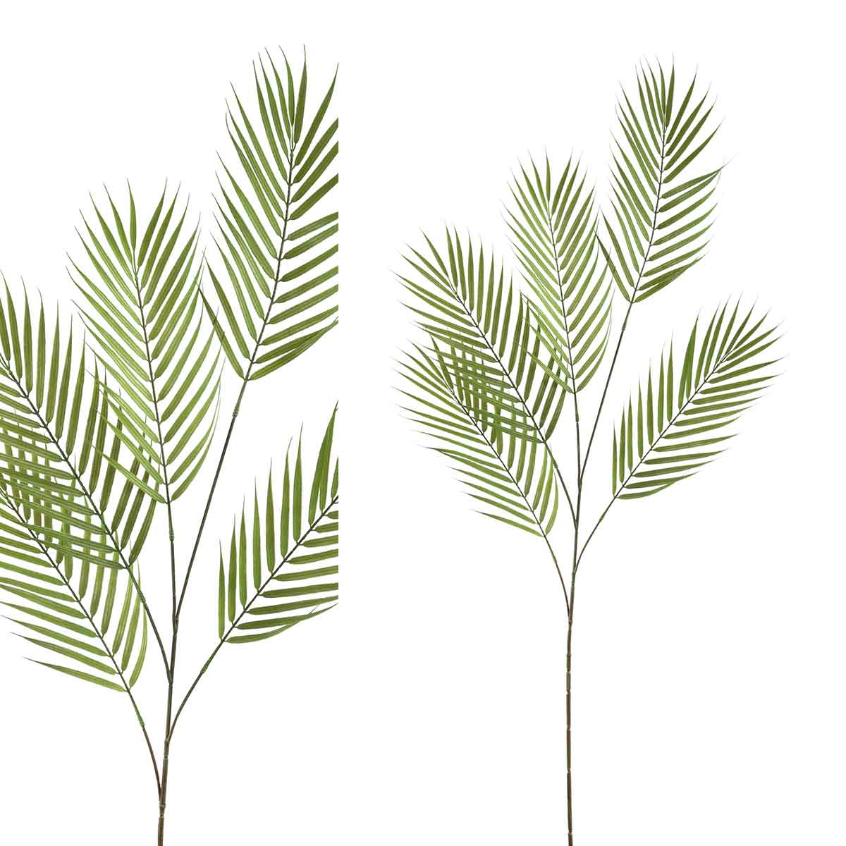 dc9c6441-3964-4255-843c-563b7b806397-vrijstaandbeeld.jpg (5815338) 