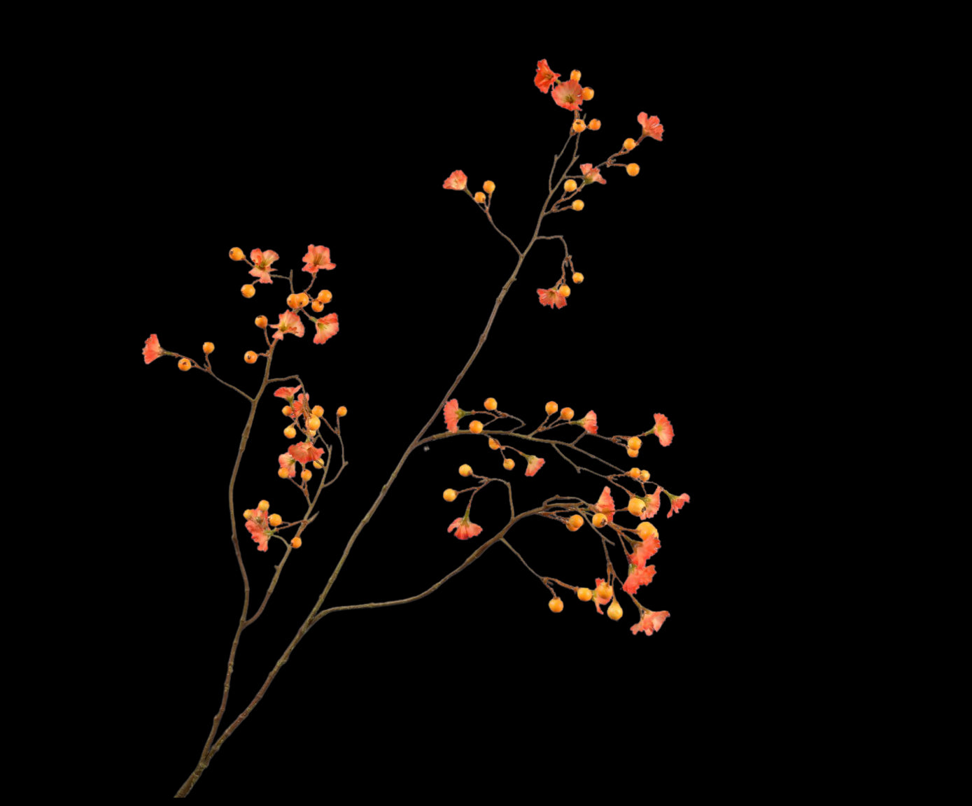 5fa3c692-a210-42e8-bed7-c6bbe634a8ae-vrijstaandbeeld.jpg (5815692) 