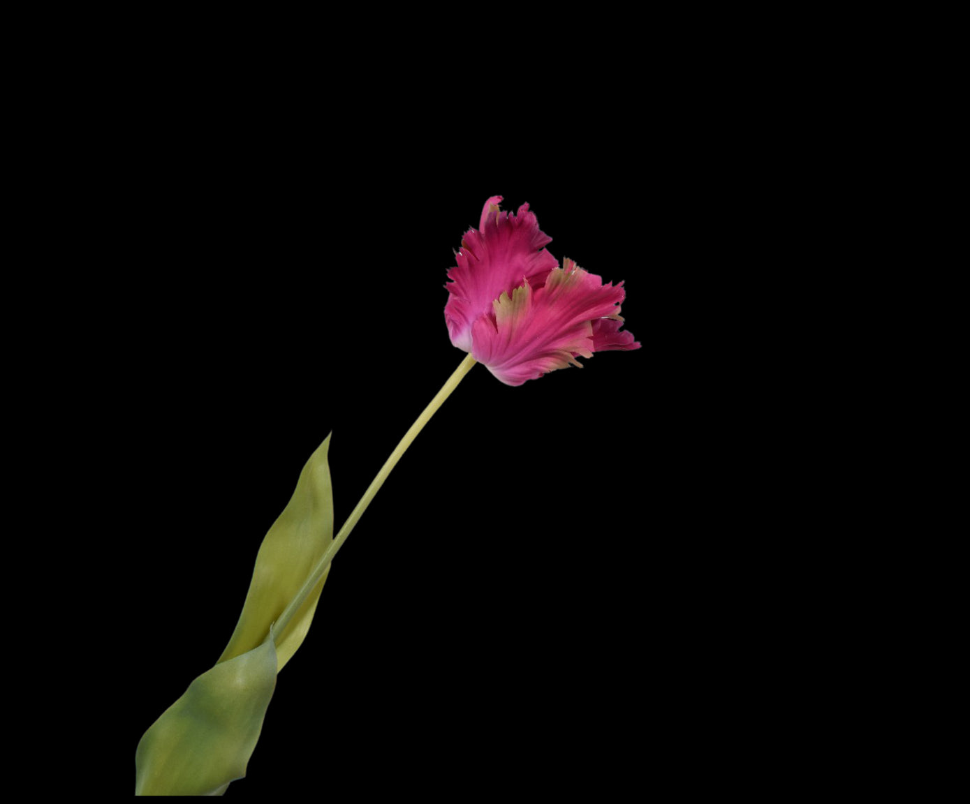 ba43c247-c30e-4200-95c8-52e6a068679a-vrijstaandbeeld.jpg (5818723) 