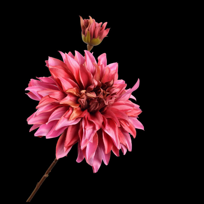 61383854-3652-4ffa-b4bd-efb03b3a707b-vrijstaandbeeld.jpg (5818760) 