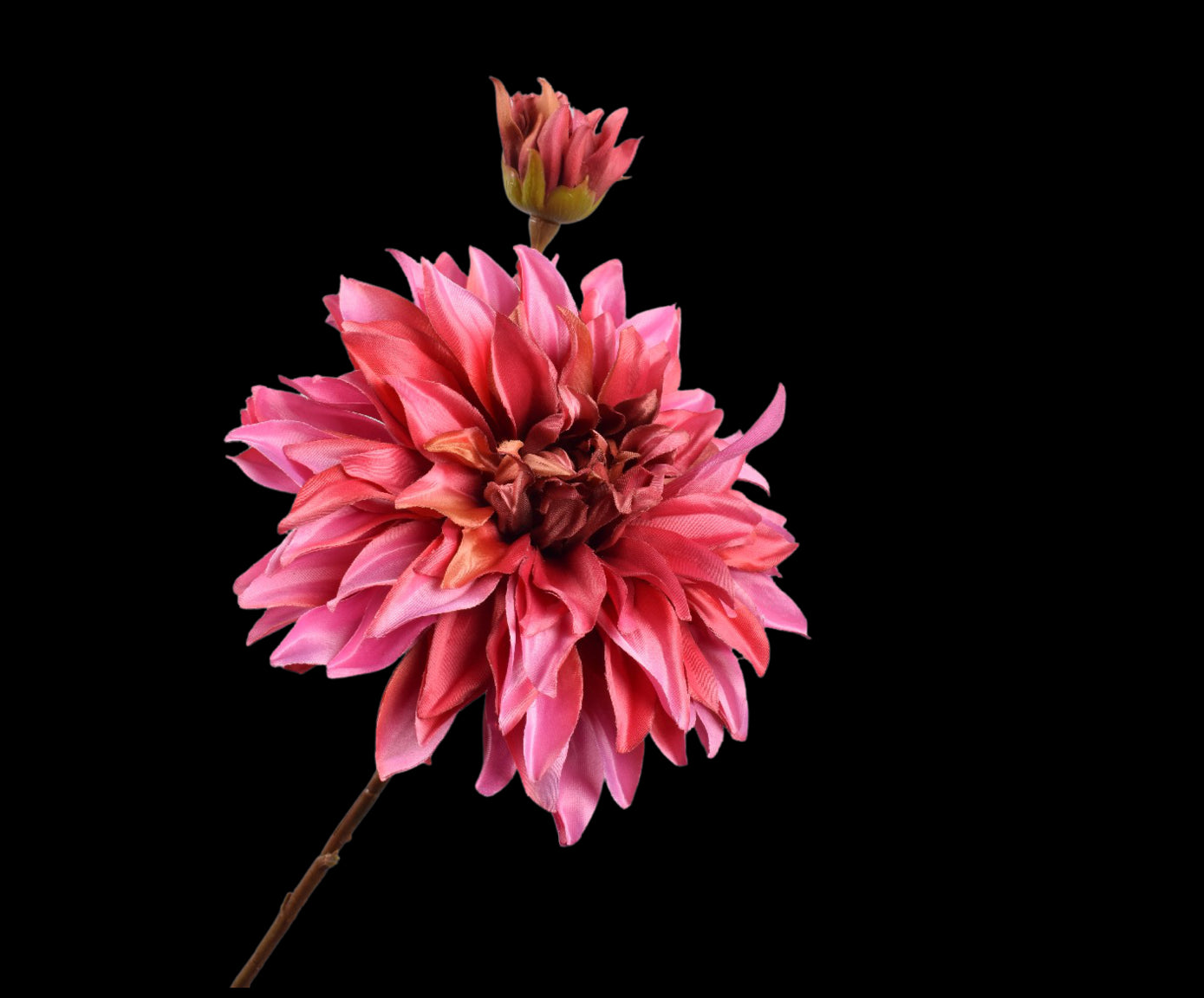 61383854-3652-4ffa-b4bd-efb03b3a707b-vrijstaandbeeld.jpg (5818760) 