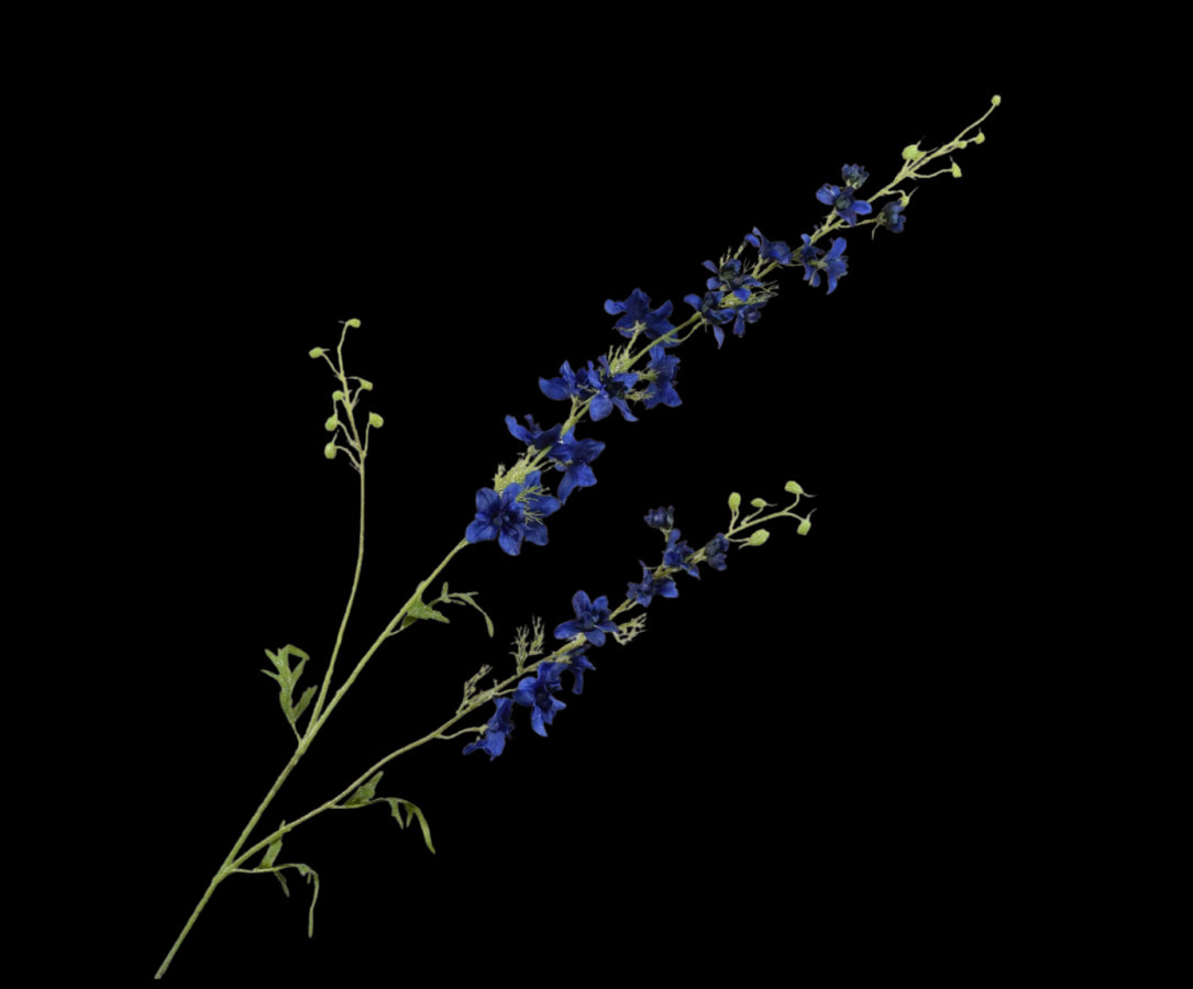 ac92015b-0431-4af6-abc8-e420ff12e139-vrijstaandbeeld.jpg (5818783) 