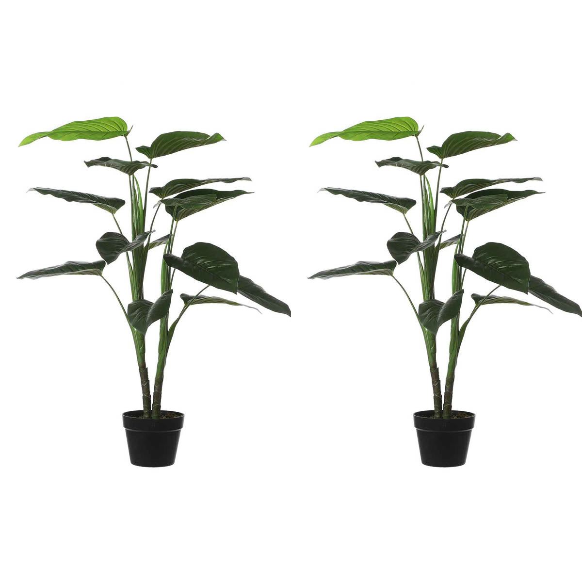 5a98f5b0-aaa9-448e-87aa-66c7a8031349-vrijstaandbeeld.jpg (5819337) 