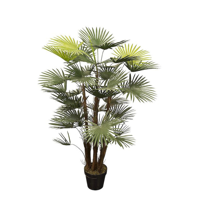 a7a20541-5cf9-4bfc-ab5c-4e9f63ddea7e-vrijstaandbeeld.jpg (5821996) 