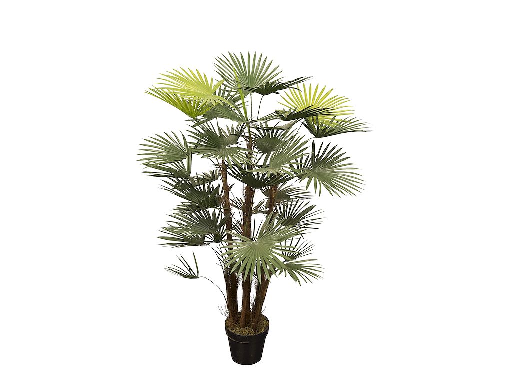 a7a20541-5cf9-4bfc-ab5c-4e9f63ddea7e-vrijstaandbeeld.jpg (5821996) 