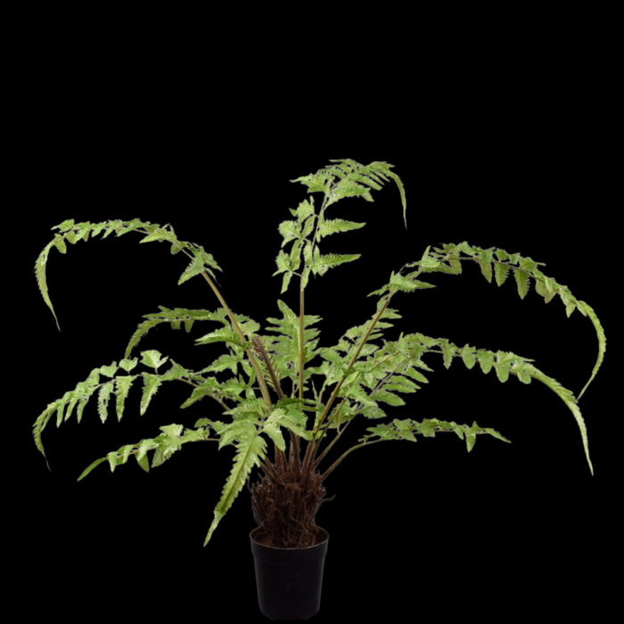 a449ee1e-3a54-49f9-9e6e-5dc5e0ac7023-vrijstaandbeeld.jpg (5823078) 