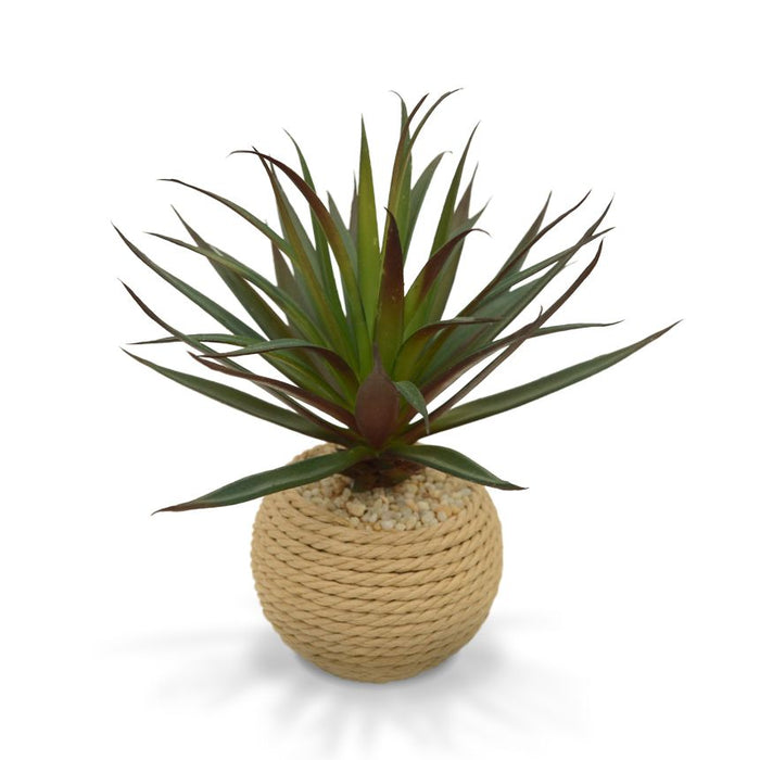 3c5cf186-8249-4f6b-9682-2bd64eeb2440-vrijstaandbeeld.jpg (5830541) 