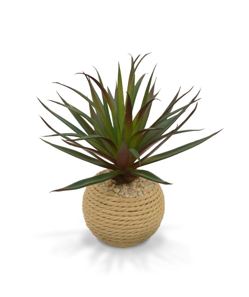 3c5cf186-8249-4f6b-9682-2bd64eeb2440-vrijstaandbeeld.jpg (5830541) 