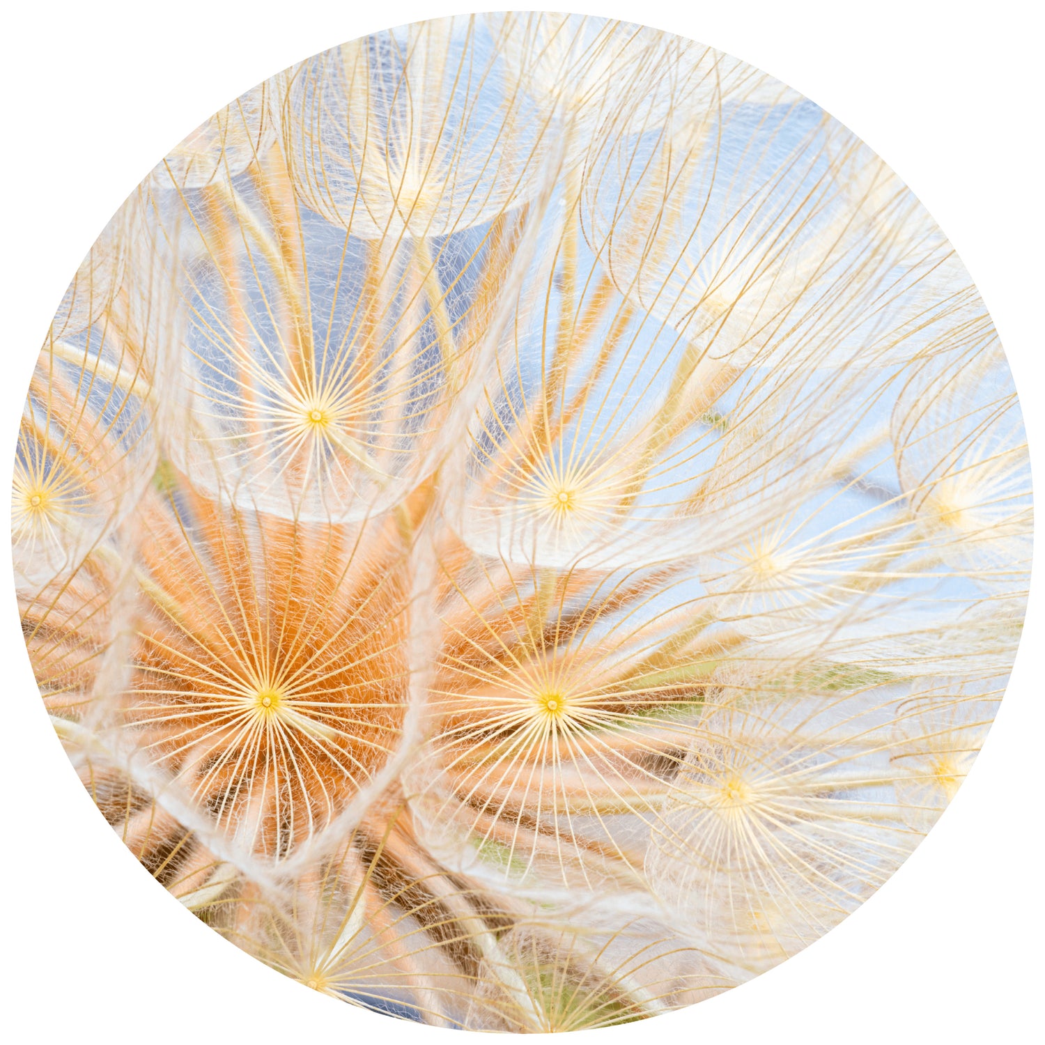 564a4e6d-68ec-4a3f-81ad-9a546ed906ea-vrijstaandbeeld.jpg (5879274) 