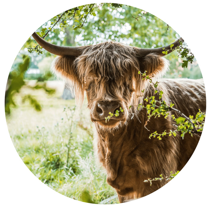 055af8e3-e569-40af-aeaa-c4ad0ff130bd-vrijstaandbeeld.jpg (5882530) 