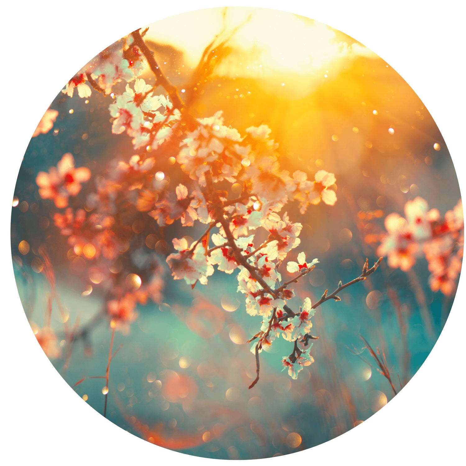 79c4b175-162c-4861-aafb-8290ed8ea349-vrijstaandbeeld.jpg (5885086) 