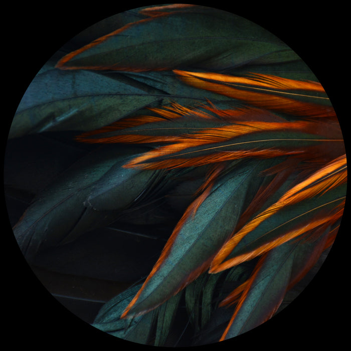 f4a75915-0f00-46ce-a87b-5e1a1e2da680-vrijstaandbeeld.jpg (5885097) 