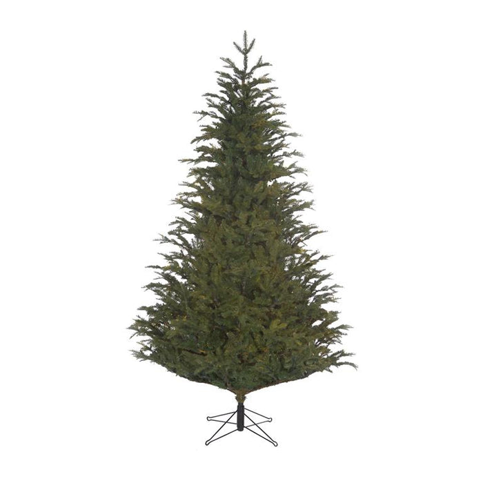 Black Box Frasier Kunstkerstboom H 185 cm