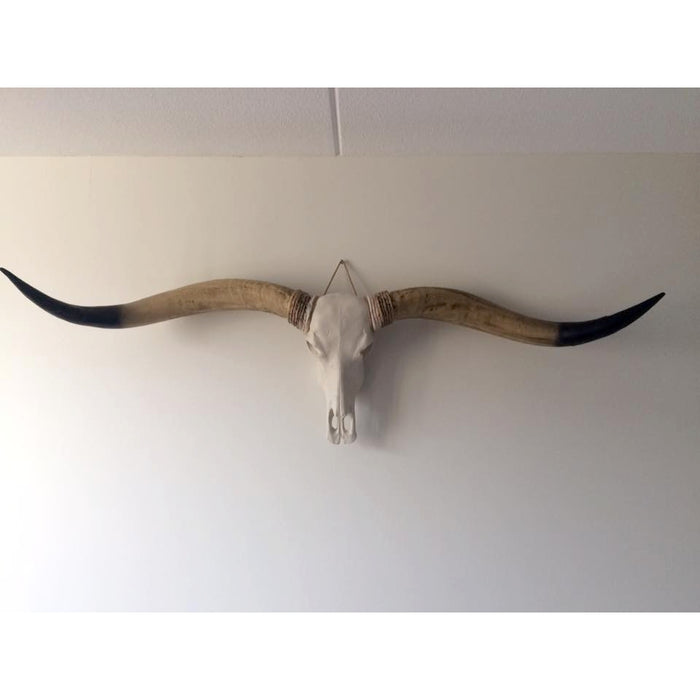 b30933ab-eda4-4e7d-9f03-2053f1b416bd-sfeerbeeld.jpg (6024992) 