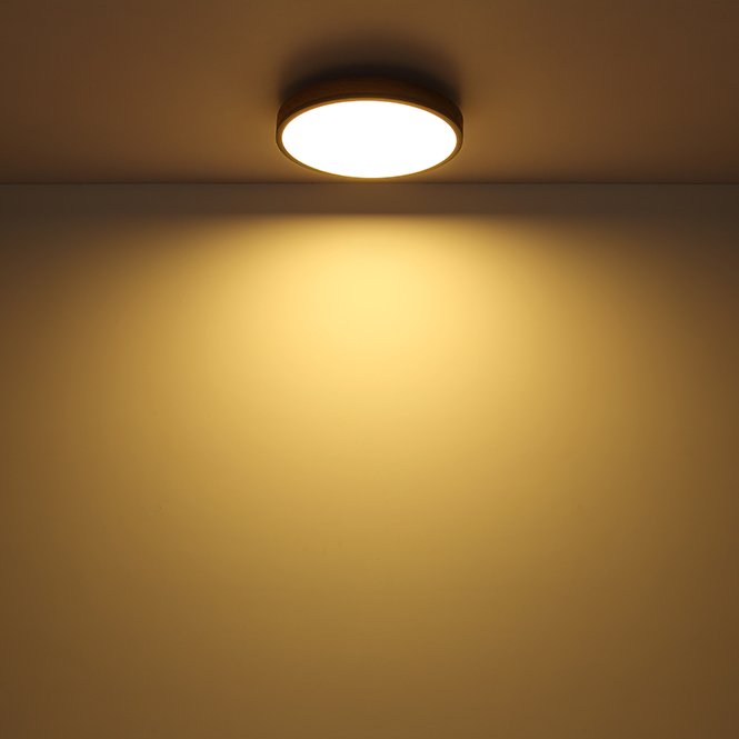 e6463ff5-1a15-4774-9c0c-8bb9e3487178-afbeelding6.jpg (6026085) 