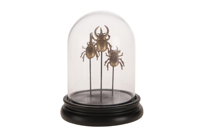 ded9ce3a-ed58-4705-83a9-8dffc48c0305-vrijstaandbeeld.jpg (6041731) 