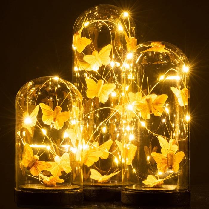 867ddf19-fc01-4b40-9e07-7ffe864af4d8-afbeelding6.jpg (6043307) 