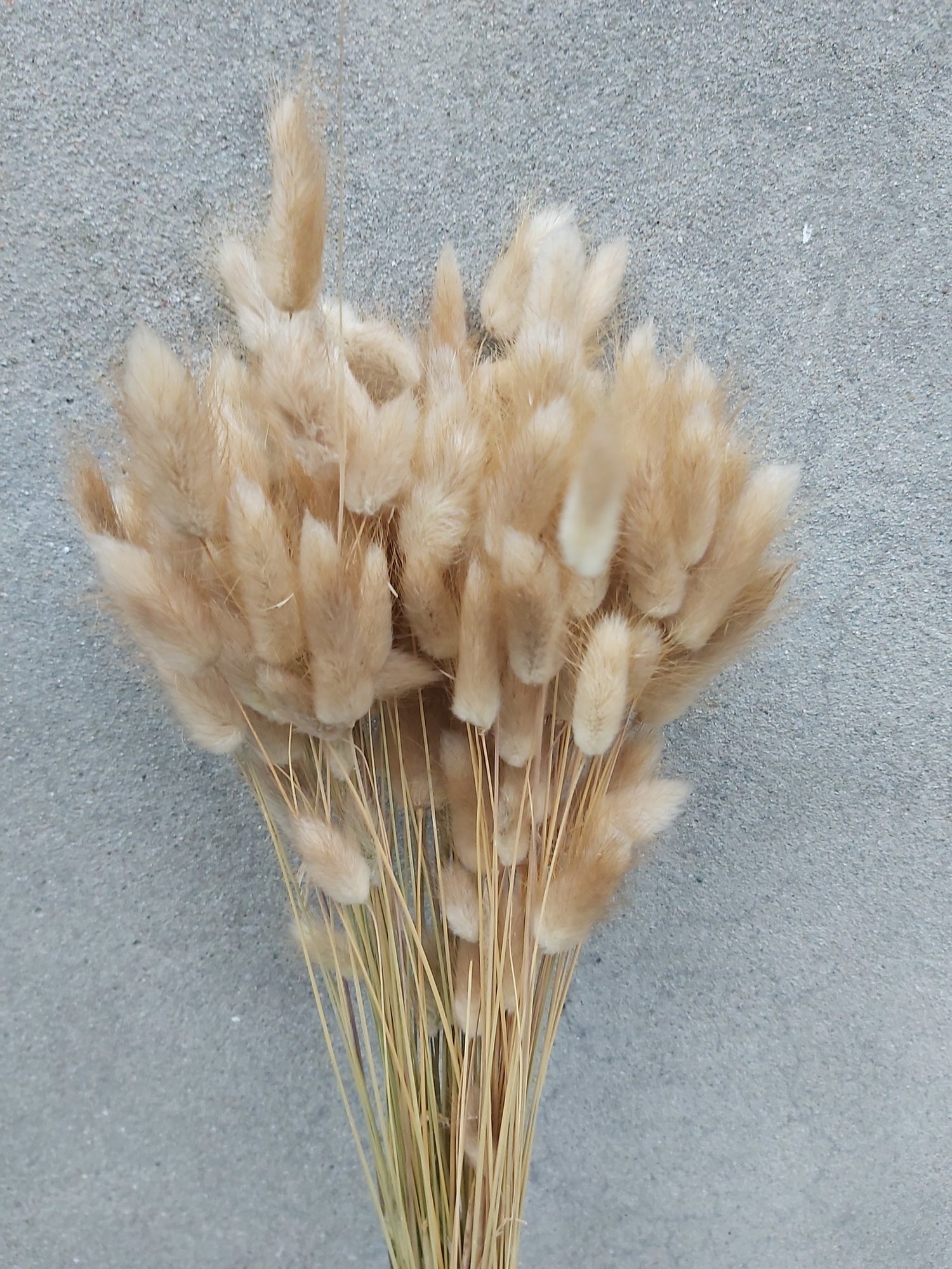 0af8cf43-4edc-4f7c-a97b-3a8e86c7d05b-vrijstaandbeeld.jpg (6072160) 